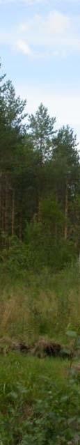 tom förändringar som enskilda arter och naturtyper utsätts för kan projektet även ha en inverkan på naturens mångfald i dess helhet.
