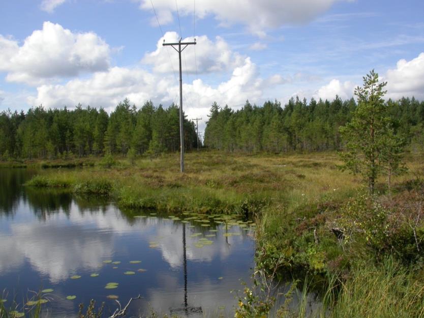 FCG DESIGN OCH PLANERING AB Mikonkeidas vindkraftspark 106 ionen under byggtiden (vegetationen krossas) är på myrområdet av tillfällig natur och kan förhindras genom att byggarbetet utförs på vintern