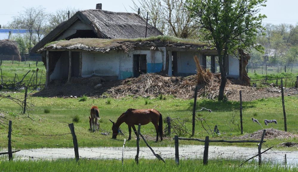 Hus i byn Letea. Foto: Sten Ljungars och smidig farkost, som erbjöd utmärkta möjligheter att komma fåglarna nära och att göra landstigningar på lämpliga ställen.