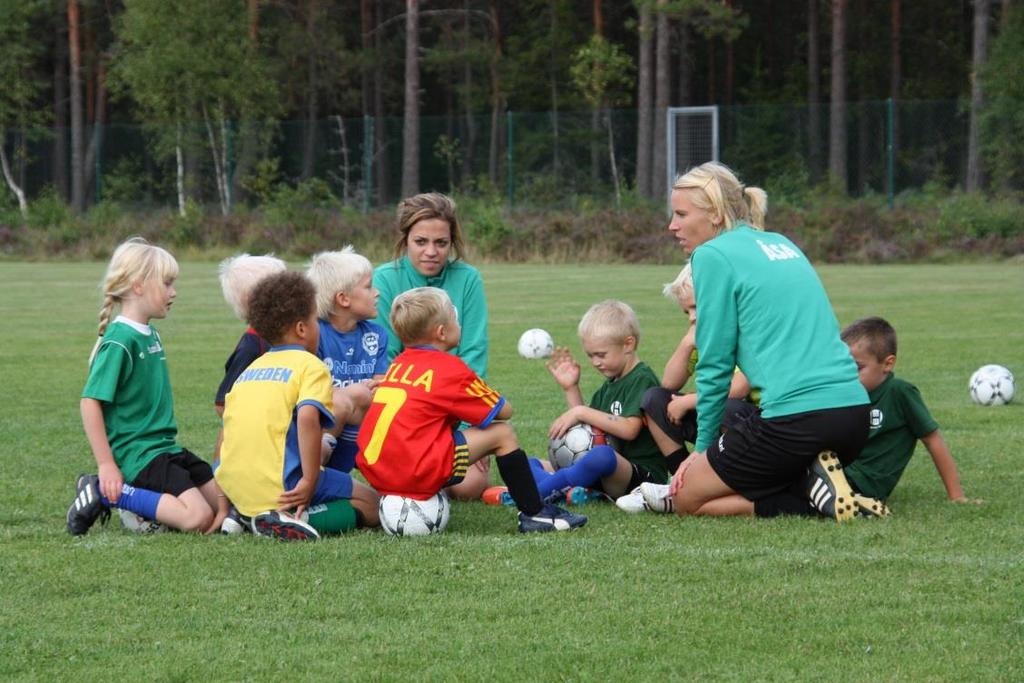Sponsorer & Engagemang Tack vare våra sponsorer och föreningens alla ideella krafter, har alla barn och ungdomar i Hillerstorp med omnejd, en fantastisk möjlighet till aktiv fritidssysselsättning.