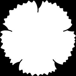 Protokoll distriktsstyrelsemöte nr 2 18 april 2016 Vänsterpartiet Värmland Distriktsexpeditionen, kl. 18.00-20.