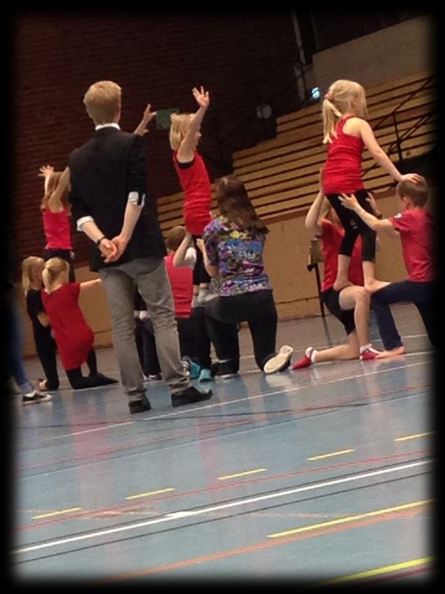 Marcus Bertilsson har under 15 års tid arrangerat och lett cirkusaktiviteter i hälsofrämjande syfte i såväl pedagogiska som habiliterande verksamheter i många delar av landet.