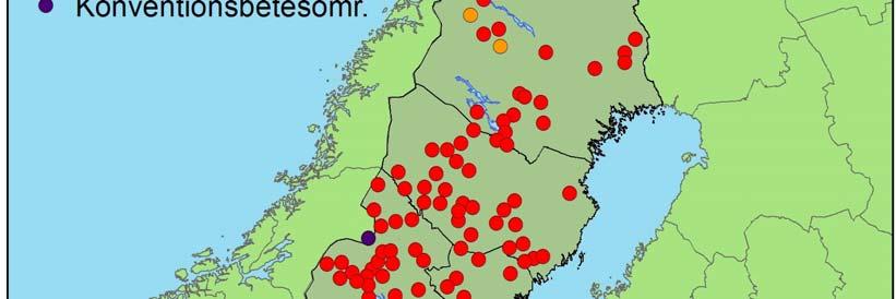 samt två misslyckade föryngringar.