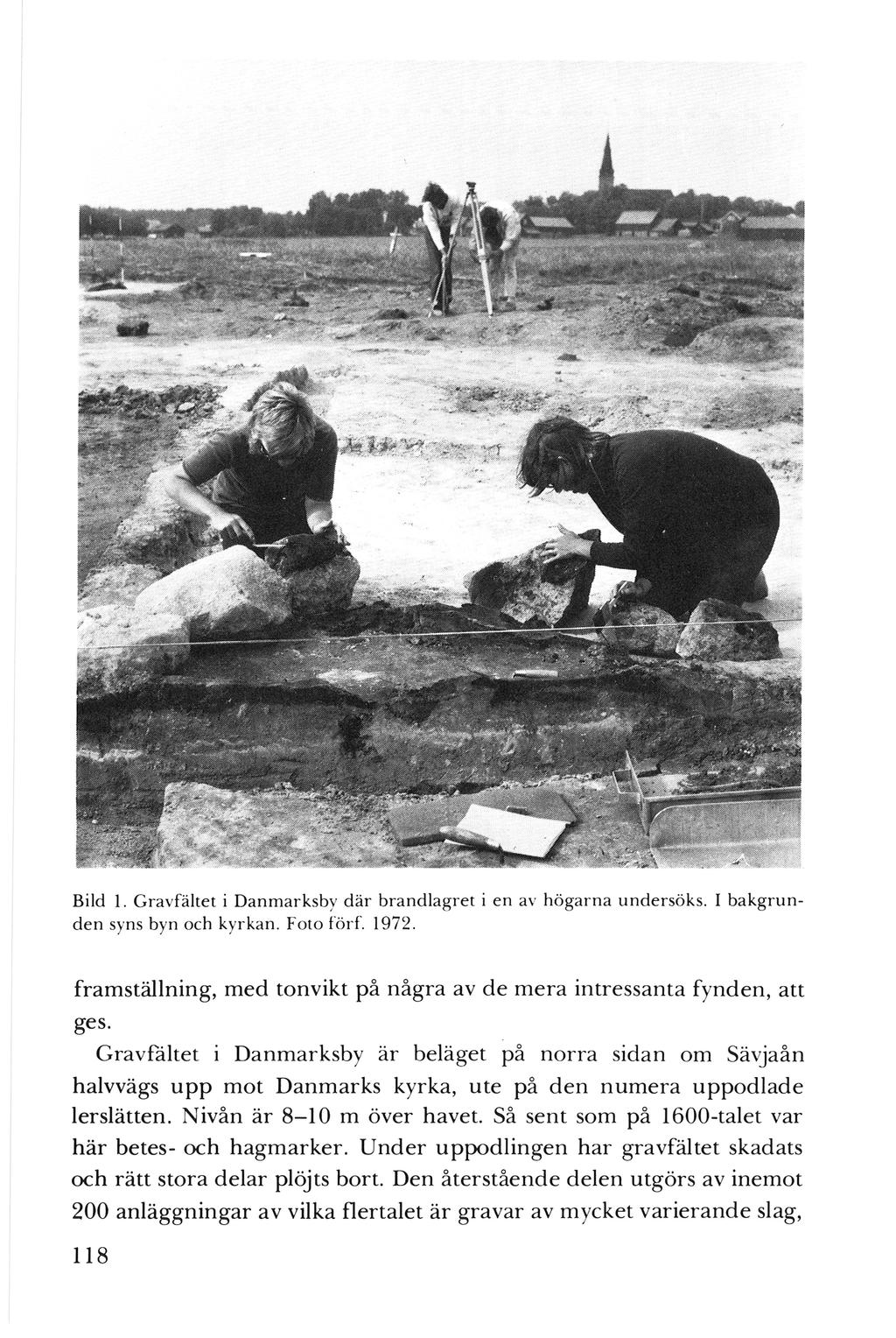 Bild I. Gravfältet i Danma rksby d är brandlagret i en av högarn a unde rsöks. I bakgrunden syns byn och kyrkan. Foto förf. 1972.