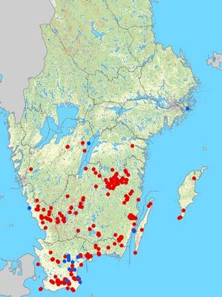 På detta uppslag: Fyndlokaler för tio arter fladdermöss med lokal utbredning i Sverige. Blå prickar indikerar vinterfynd. [Observation sites of ten bat species with restricted distribution in Sweden.
