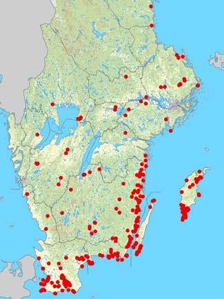 Naturvårdsverket har gett stöd åt inventeringsverksamheten, och länsstyrelserna har medverkat vid planering och anlitande av inventerare. Summary: The Bat fauna of Sweden.