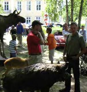 björn, varg,