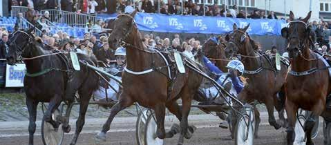 Turbo Gothia inledde karriären bra ifjol och vann i sitt livs andra start. Han har sedan radat upp jämna och fina insatser men fick vänta nästan ett år på seger nummer två.