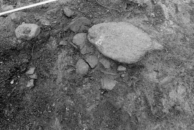 10 Bohusläns museum 2007:82 samt A2:1 bestående av en benkoncentration. I urnebrandgropen påträffades främst fynd av keramik och en skrapa av flinta.