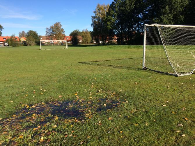 PLATSENS FÖRUTSÄTTNINGAR Mark och vegetation Foton över parkområdet, tagna från nordväst mot sydost.