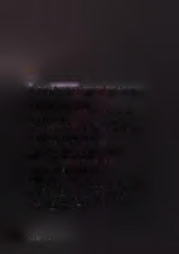 HHhbbhhhhhhhhi o 9 Bild tagen mot öst och in mot planområdel. Marken är flack och träden står förhållandevis glest.