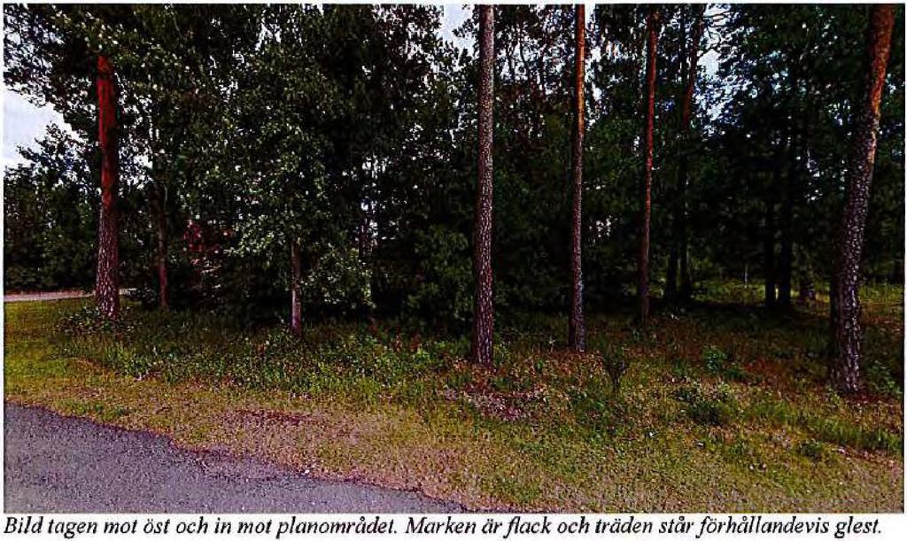 Riksintressen och förordnanden Inom planområdet finns inga riksintressen eller strandskydd.