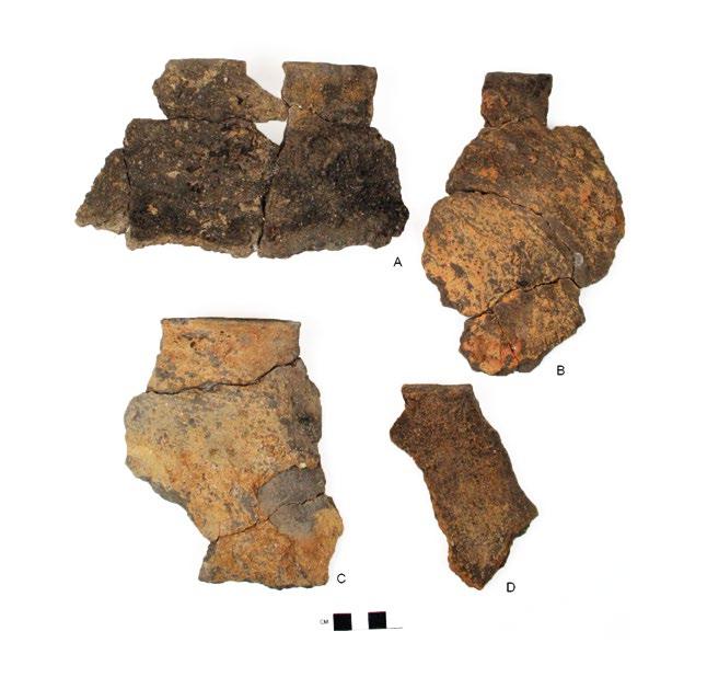 En aktivitetsyta från bronsålder Kokgropar vid lertäkter 21 Fig. 1. Skärvor från Borstahusen. Keramiken har daterats till bronsålder period III IV. A) F19, F20. A408. B) F34. A960. C) F14. A408. D) F21.