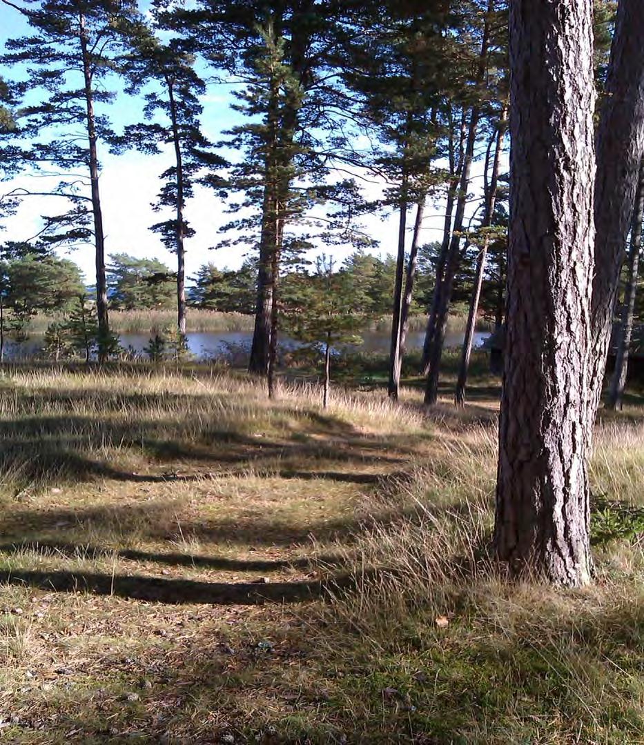 Dnr 102012 Innehåller: Planbeskrivning Genomförandebeskrivning Detaljplan för Gothem