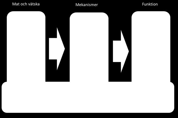 I råden betonas vikten av att förebygga undernäring genom att erbjuda många små individanpassade måltider. Bra måltider är grunden för såväl friska som sjuka.