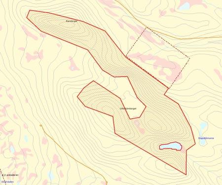 Länsstyrelsens bedömning Området vid Uttertjärnberget består av tre höjder, där branten i nord-nordost är urskogsartad tallskog.