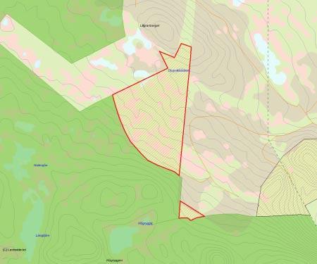 Länsstyrelsens bedömning Skogen vid Djupviken är en grandominerad urskog med riklig förekomst av död ved, både lågor och torrakor.