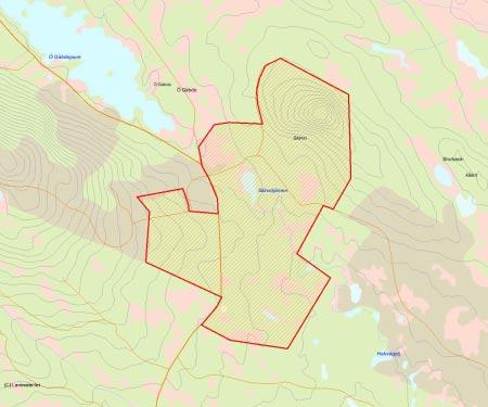 Länsstyrelsens bedömning Runt om på berget Skirvos sluttningar växer talldominerad, till stora delar urskogsartad skog.