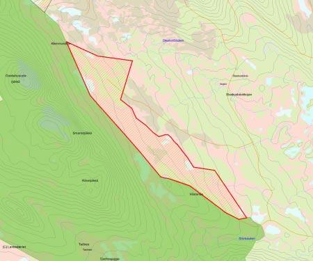 Länsstyrelsens bedömning Klemmaråttje är en naturlig fortsättning till urskogsområdet Tjadnes och utgörs av samma naturlandskap som inne i reservatet.