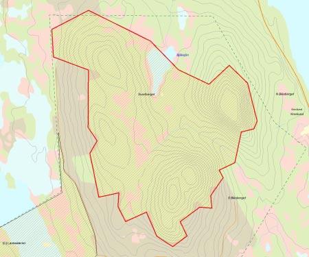 Länsstyrelsens bedömning Större delen av objektet är urskogsartat och har höga naturvärden. Den påverkan som finns i form av äldre plockhuggningar har inte förstört områdets urskogsartade karaktär.
