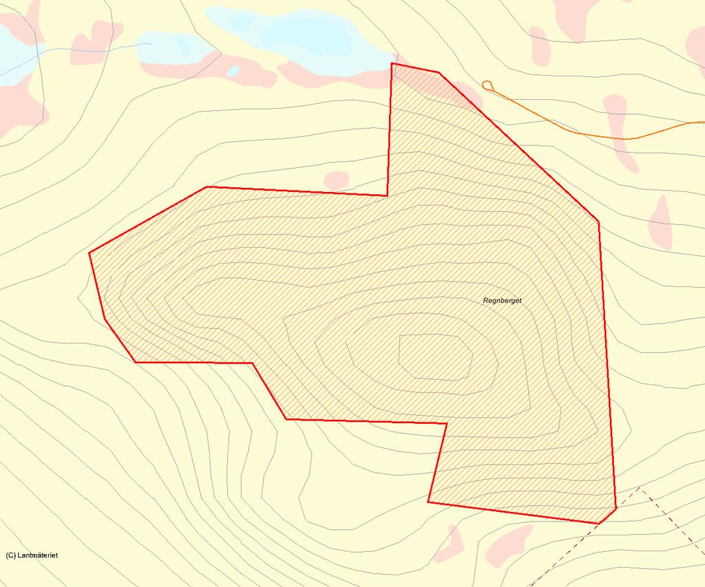 Länsstyrelsens bedömning Regnbergets urskogar och urskogsartade delar har höga naturvärden.