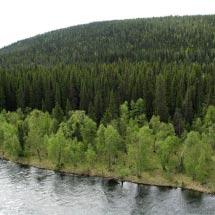 3902 Deppisforsen Kommun Arjeplog Totalareal 918 ha Naturgeografisk region 33h Areal land 845 ha Objektskategori U2 Areal vatten 72 ha Markägare Sveaskog Areal produktiv skogsmark 748 ha