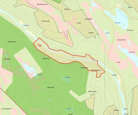 Länsstyrelsens bedömning Deppisforsen har som stort naturskogsområde i väglöst land med anslutning till den outbyggda Laisälven ett högt naturvärde ur både biologiskt- och friluftslivshänseende.