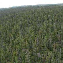 3914 Remtliden Kommun Arjeplog Totalareal 892 ha Naturgeografisk region 33h Areal land 892 ha Objektskategori U2 Areal vatten 0 ha Markägare Fastighetsverket Areal produktiv skogsmark 136 ha Ovanför