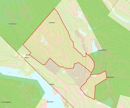 Länsstyrelsens bedömning Remtliden är ett område med urskogsartad granskog i anslutning till naturreservatet Laisdalens Fjällurskog.