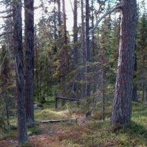 2867 Bällovaratj Kommun Arvidsjaur Totalareal 3 082 ha Naturgeografisk region 33h Areal land 3 016 ha Objektskategori U2 Areal vatten 66 ha Markägare Sveaskog Areal produktiv skogsmark 2 352 ha