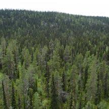 3922 Veddekliden Kommun Arjeplog Totalareal 2 862 ha Naturgeografisk region 33h Areal land 2 854 ha Objektskategori U2 Areal vatten 9 ha Markägare Fastighetsverket Areal produktiv skogsmark 1 358 ha
