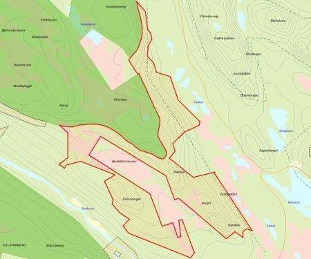 Länsstyrelsens bedömning Veddekliden är ett stort område med huvudsakligen urskog och urskogsartad skog som har mycket höga naturvärden.