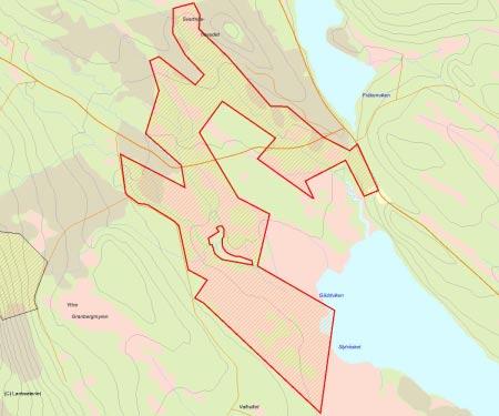 Länsstyrelsens bedömning Området vid Slyträsk består av en mosaik av myrar, bäckar och sumpiga granskogar. Skogen är ofta av urskogskaraktär med stor andel död ved i form av lågor och torrträd.