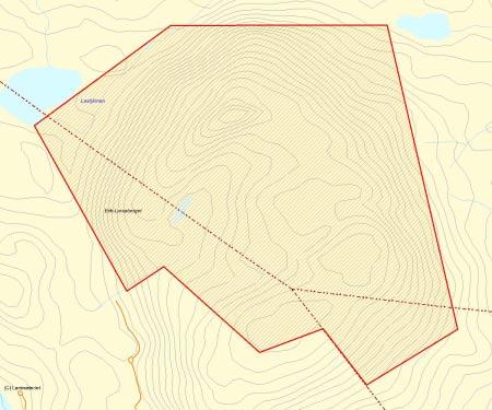 Länsstyrelsens bedömning Erik-Larsaberget är ett större sammanhängande naturskogsområde med höga naturvärden.