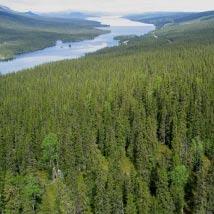 3900 Björnliden Kommun Arjeplog Totalareal 1 653 ha Naturgeografisk region 33h Areal land 1 448 ha Objektskategori U2 Areal vatten 205 ha Markägare Fastighetsverket Areal produktiv skogsmark 1 337 ha