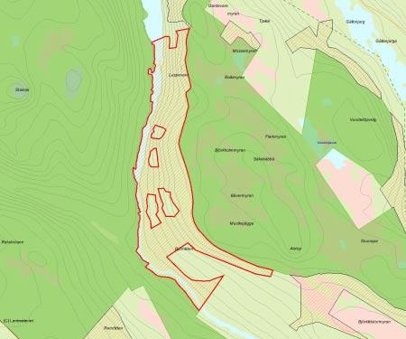 Länsstyrelsens bedömning Björnliden är ett område med urskogsartad granskog i anslutning till naturreservatet Laisdalens Fjällurskog. Området utgör en naturlig fortsättning av landskapet i reservatet.