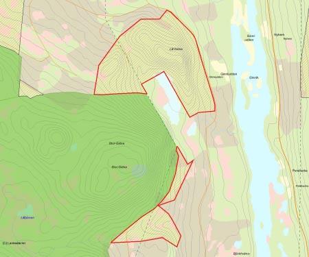 Länsstyrelsens bedömning Området har höga naturvärden och utgörs nästan helt av orörd granskog i olika grad av succession efter brand.