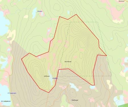 Länsstyrelsens bedömning Granskogen vid Ranak är ren urskog eller urskogsartad, med hög andel flerhundraåriga tallar, som saknar brandljud.