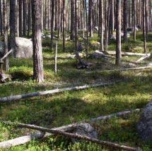 2530 Globerget Kommun Älvsbyn, Jokkmokk Totalareal 167 ha Naturgeografisk region 30b Areal land 167 ha Objektskategori U1 Areal vatten 0 ha Markägare Sveaskog Areal produktiv skogsmark 131 ha Ovanför