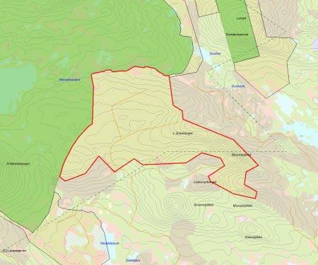 Länsstyrelsens bedömning Skogen i objektet utgörs av en relativt homogen, ca 200-årig granbränna med inslag av tall- och granöverståndare samt olika lövträd.