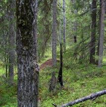 3768 Kniptjärnsliden Kommun Arvidsjaur Totalareal 141 ha Naturgeografisk region 32c Areal land 141 ha Objektskategori U1 Areal vatten 0 ha Markägare Sveaskog Areal produktiv skogsmark 129 ha Ovanför