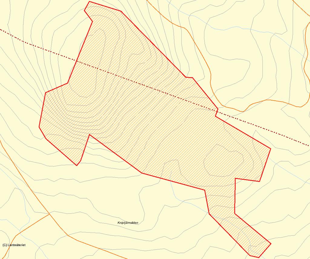 Länsstyrelsens bedömning Kniptjärnsliden och Lövberget utgör ett fint exempel på en orörd eller svagt påverkad lövrik bränna i Norrbottens inland, och har som opåverkad skog ett högt biologiskt värde.