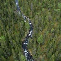 3920 Veddekbäcken Kommun Arjeplog Totalareal 312 ha Naturgeografisk region 33h Areal land 312 ha Objektskategori U2 Areal vatten 0 ha Markägare Fastighetsverket Areal produktiv skogsmark 209 ha