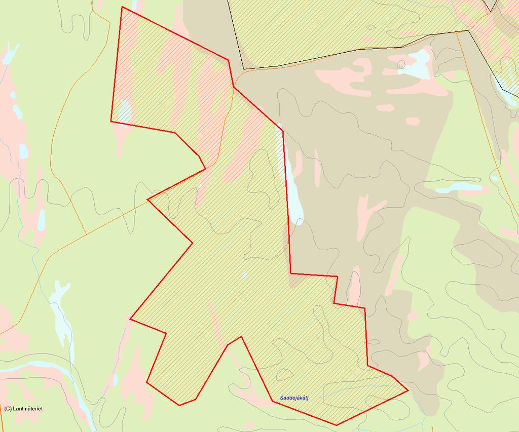 Länsstyrelsens bedömning Paula är ett större område med äldre tallnaturskog på flack hedmark. Skogen är till stor del urskogsartad och överlag är tillgången på död ved i olika former stor.