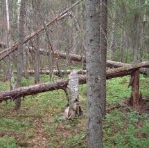 3748 Hällstensberget Kommun Boden Totalareal 159 ha Naturgeografisk region 29b Areal land 159 ha Objektskategori U1 Areal vatten 0 ha Markägare Fortifikationsverket Areal produktiv skogsmark 153 ha