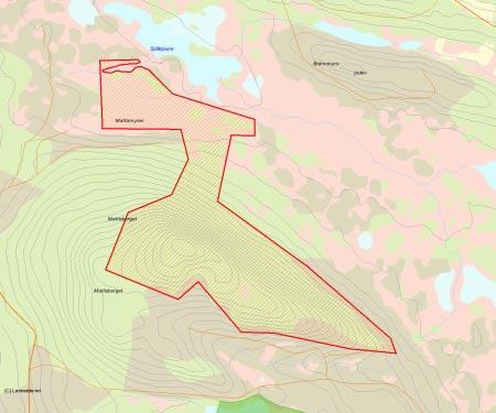 Länsstyrelsens bedömning Mattisberget har en stor variationsrikedom av biotoper.