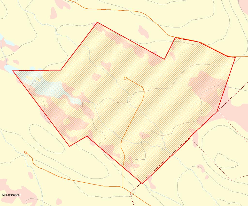 Länsstyrelsens bedömning Vid Bjurbäcken finns en mosaik av naturskogstyper, tallåsar, sumpskogar, och myrar av låg påverkansgrad, vilket är en ovanlig sammansättning av natur i Bodens kommun och