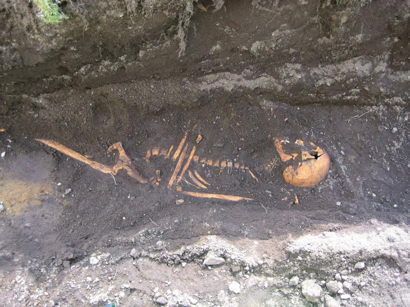 10 ARKEOLOGISK RAPPORT 2008:45 figur 4. Skelettet efter den äldre mannen. Foto: Britt Ajneborn. figur 5. Varböld i överkäken hos den 50-åriga mannen. Foto: Anna Kloo Andersson. figur 6.