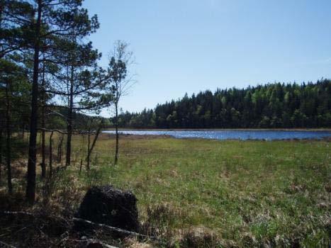 Samlad värdebeskrivning Utredningsområdet utgörs i huvudsak av näringsfattiga våtmarks och vattenområden.