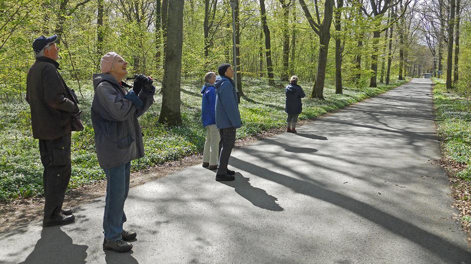 5 39. Tofsvipa Vanellus vanellus 40. Brushane Philomacus pugnax 8 Örnahusen Norrekås och 12 Risteören 4/5 41. Småspov Numenius phaeopus 1 Hagestads naturreservat 4/5 42.